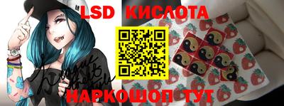 прущие грибы Гатчина