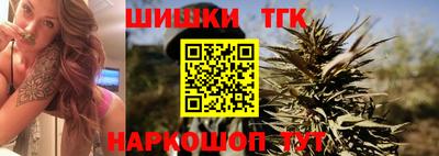 прущие грибы Гатчина