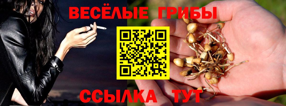 Галлюциногенные грибы ЛСД  Вход с VPN  Нижнеудинск  Галлюциногенные грибы прущие грибы 