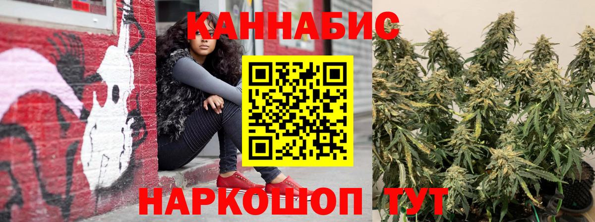 МАРИХУАНА сатива Нижнеудинск